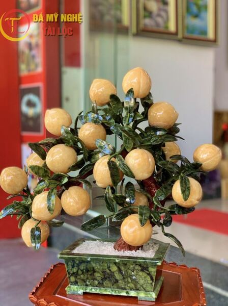 Cây đào đá ngọc hoàng long