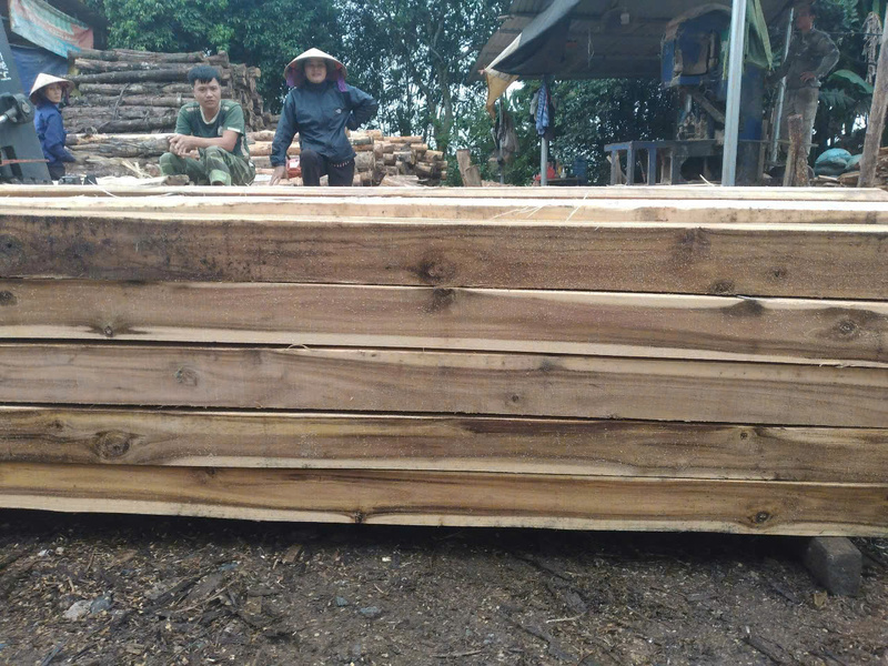 Gỗ nguyên liệu - Pallet Gỗ Bảo Phúc - Công Ty TNHH Sản Xuất Và Dịch Vụ Bảo Phúc