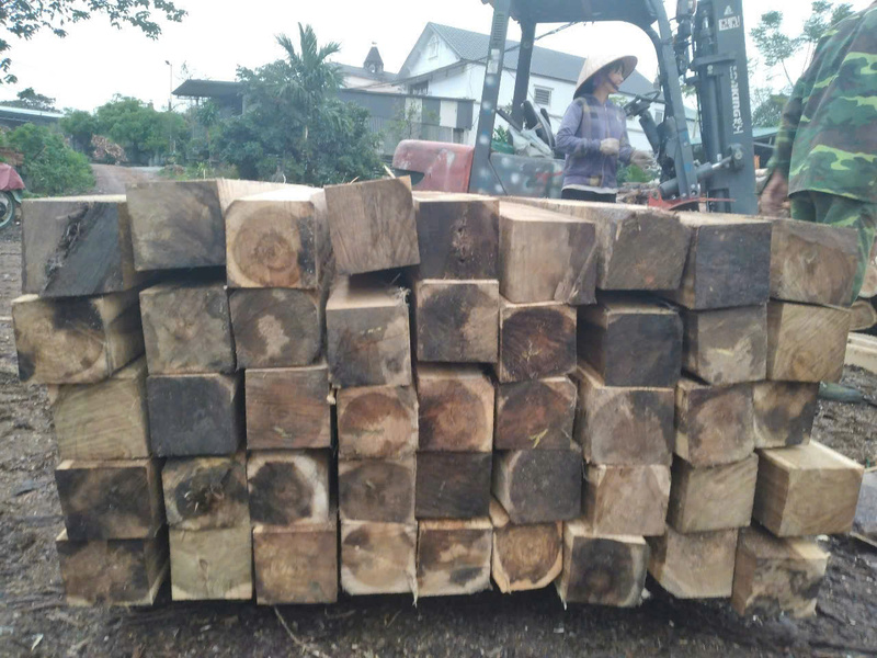 Gỗ nguyên liệu - Pallet Gỗ Bảo Phúc - Công Ty TNHH Sản Xuất Và Dịch Vụ Bảo Phúc