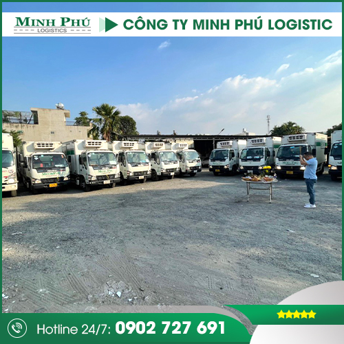 Đội xe vận tải - Minh Phú Logistics - Công Ty TNHH Minh Phú Logistics