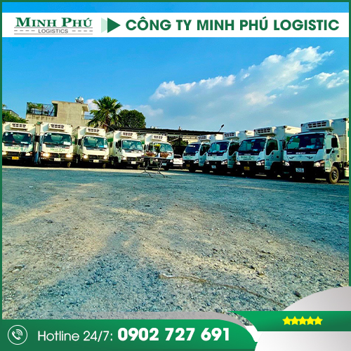 Đội xe vận tải - Minh Phú Logistics - Công Ty TNHH Minh Phú Logistics