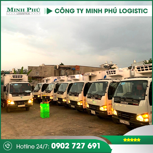 Đội xe vận tải - Minh Phú Logistics - Công Ty TNHH Minh Phú Logistics