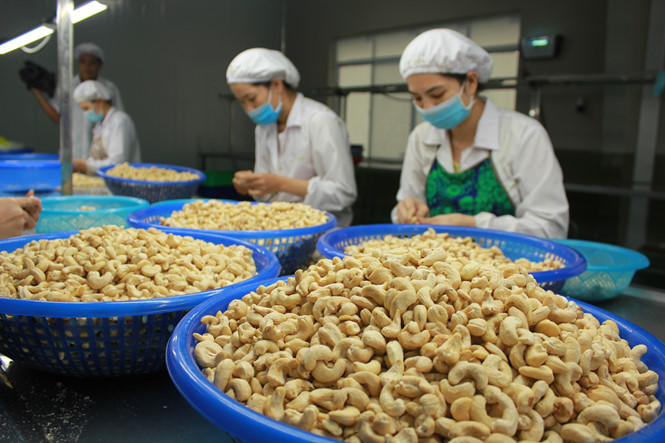 Xuất Nhập Khẩu J&D – Công Ty TNHH Xuất Nhập Khẩu Tổng Hợp J&D