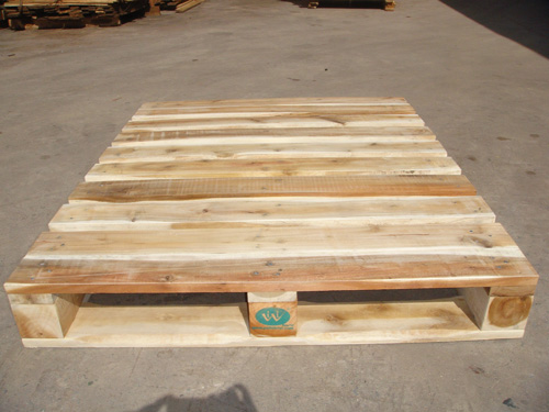 Pallet 100x120x15.6 cm - Pallet Vĩ Vĩ - Công Ty TNHH Pallet Vĩ Vĩ