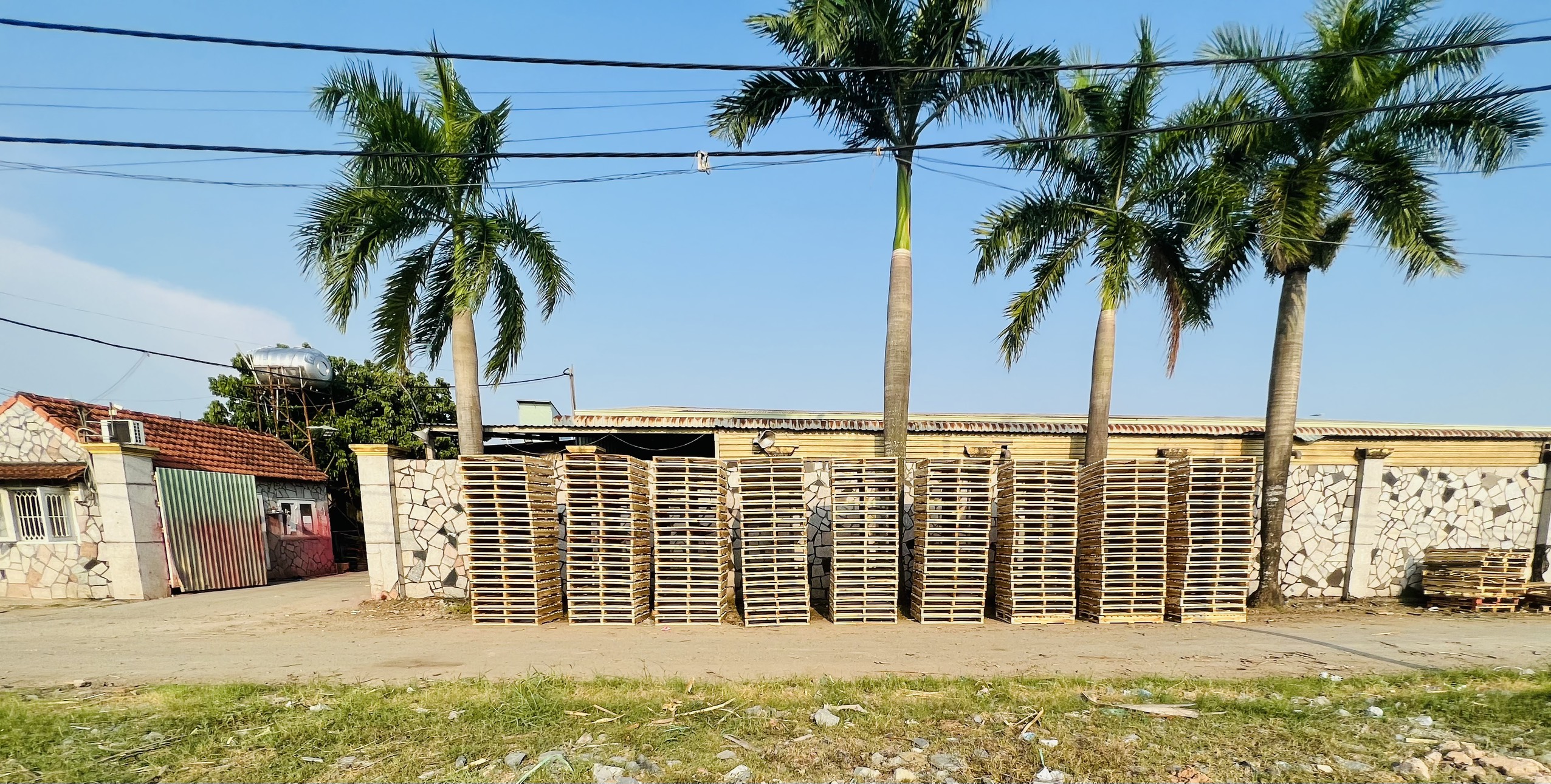 Hình ảnh công ty - Công Ty TNHH Pallet Vĩ Vĩ