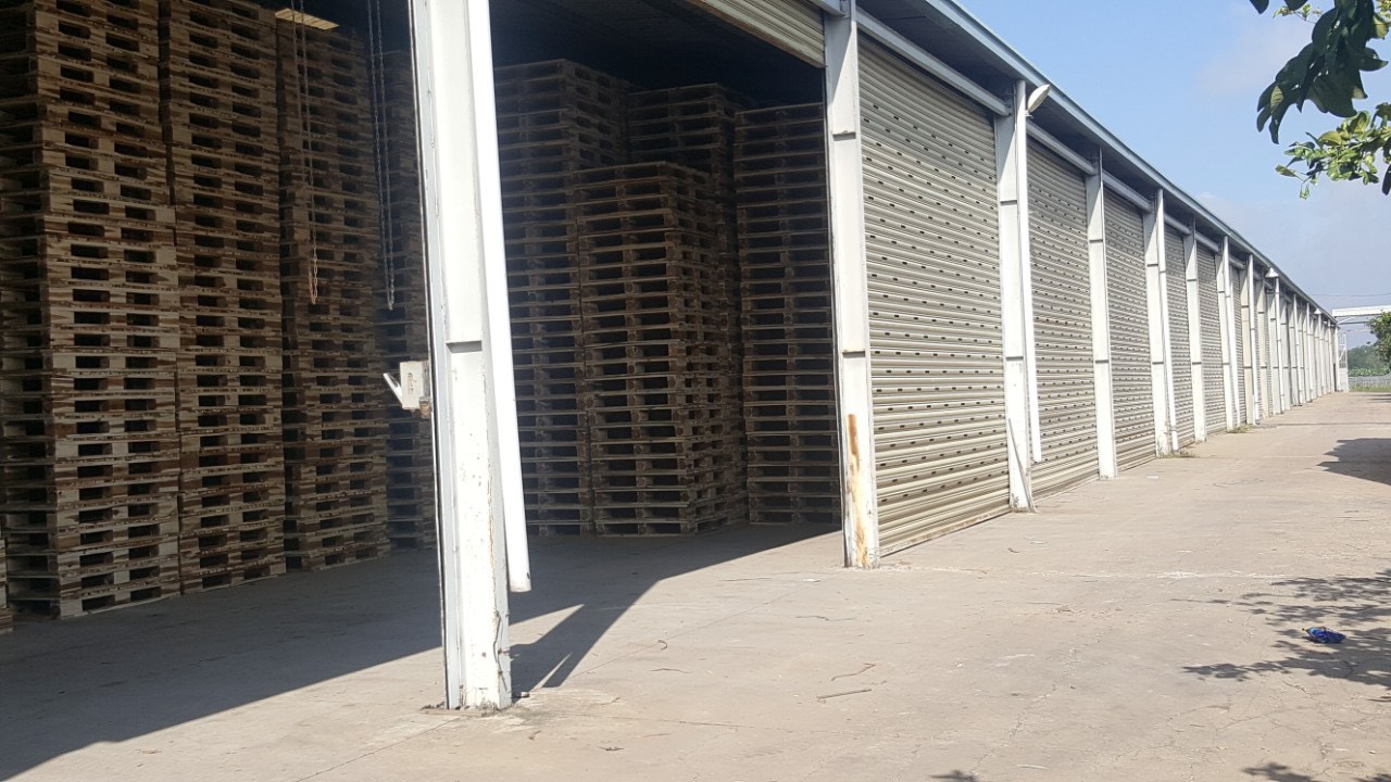 Hình ảnh công ty - Công Ty TNHH Pallet Vĩ Vĩ