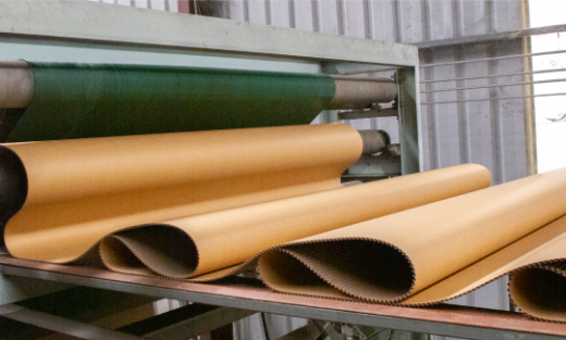 Hình ảnh công ty Bao Bì Giấy Thuận Hưng - Bao Bì Giấy Thuận Hưng - Công Ty Trách Nhiệm Hữu Hạn Một Thành Viên Bao Bì Giấy Thuận Hưng