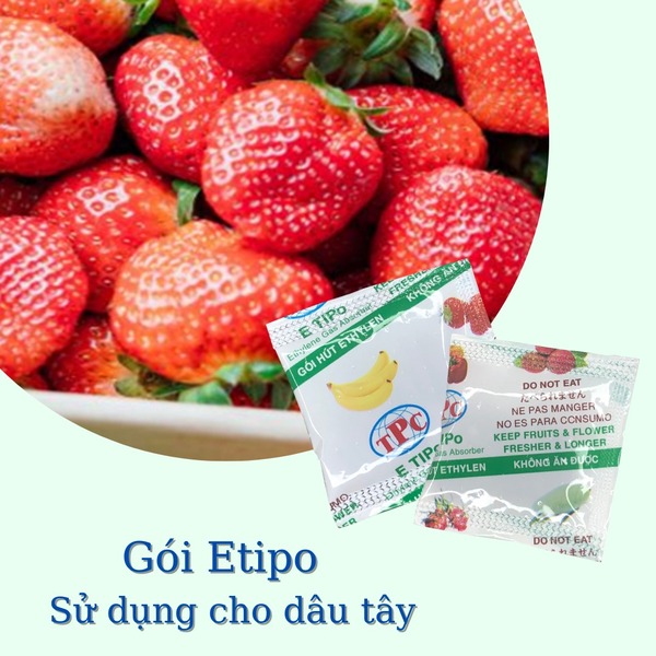 Gói hút khí ethylene dâu tây