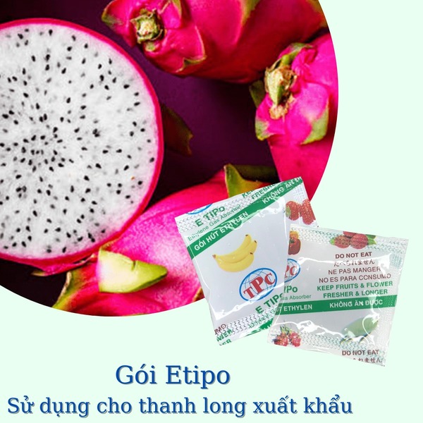 Gói hút khí ethylene thanh long xuất khẩu