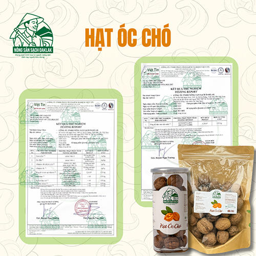  - Nông Sản Sạch Daklak - Công Ty TNHH Nông Sản Sạch Daklak