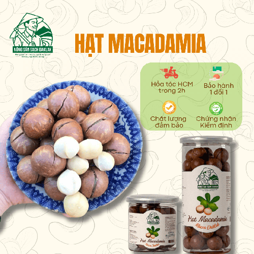 Hạt macca sấy nứt vỏ Daklak - Nông Sản Sạch Daklak - Công Ty TNHH Nông Sản Sạch Daklak