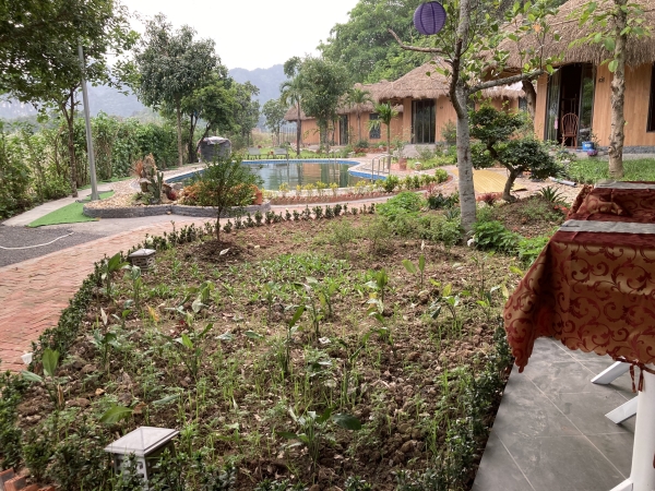 Du lịch Tràng An Royal Bungalow - Trang An Legend - Công Ty TNHH Đầu Tư Thương Mại Và Dịch Vụ Môi Trường Xanh Việt - Đức