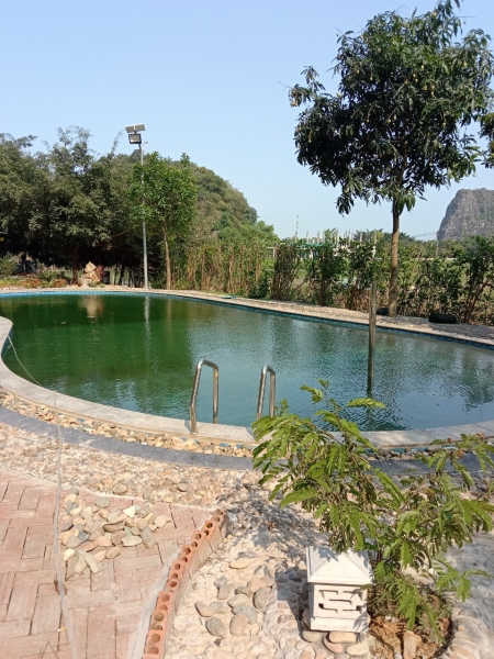 Du lịch Tràng An Royal Bungalow - Trang An Legend - Công Ty TNHH Đầu Tư Thương Mại Và Dịch Vụ Môi Trường Xanh Việt - Đức