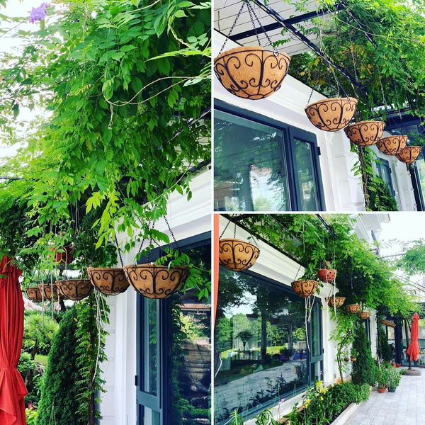 Chậu treo xơ dừa