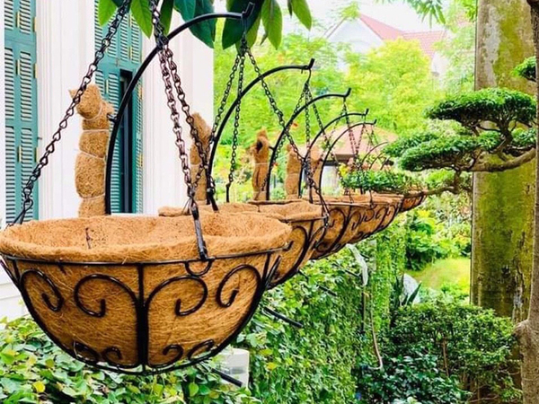 Chậu treo xơ dừa