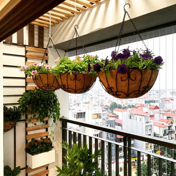 Chậu treo xơ dừa