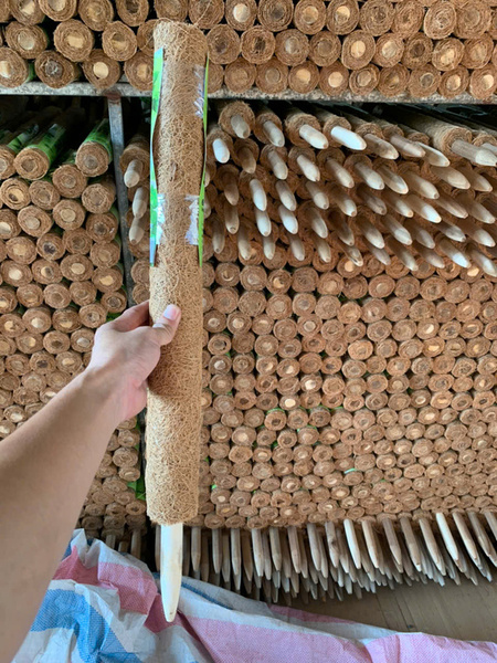 Trụ cột xơ dừa