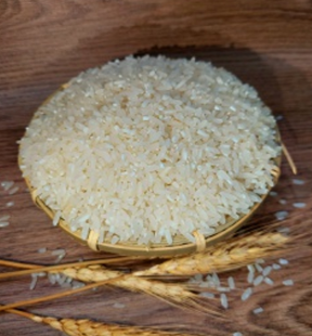 Gạo Nếp Mềm - Gạo Kim Ẩn - Công Ty TNHH Kim Ẩn