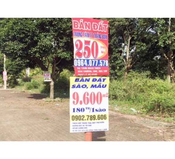 In băng rôn