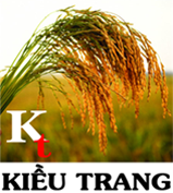 Logo công ty - Bún Tươi Kiều Trang - Công Ty TNHH Trường Đạt Kiều Trang