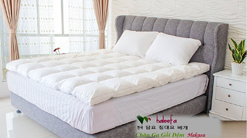 Chăn Ga Gối Haleefa – Công Ty TNHH Haleefa Việt Nam