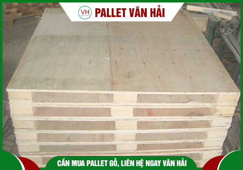 Pallet 2 hướng nâng