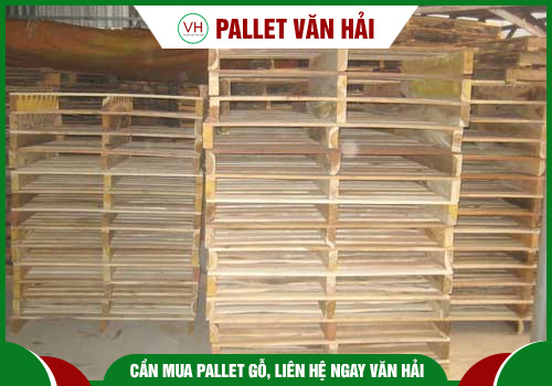 Pallet 2 hướng nâng - Chi Nhánh An Giang - Công Ty TNHH Một Thành Viên Pallet Văn Hải