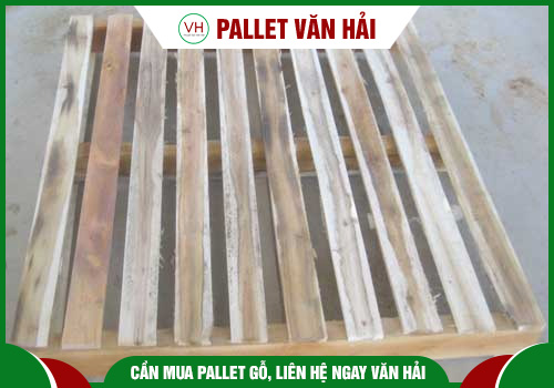 Pallet 2 hướng nâng - Chi Nhánh An Giang - Công Ty TNHH Một Thành Viên Pallet Văn Hải