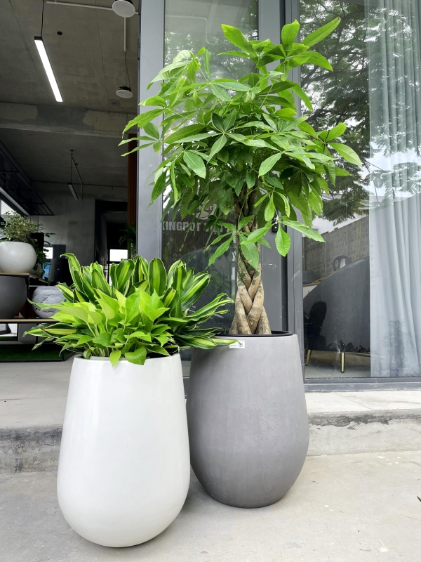 Bộ chậu bo tròn đáy Composite 4330