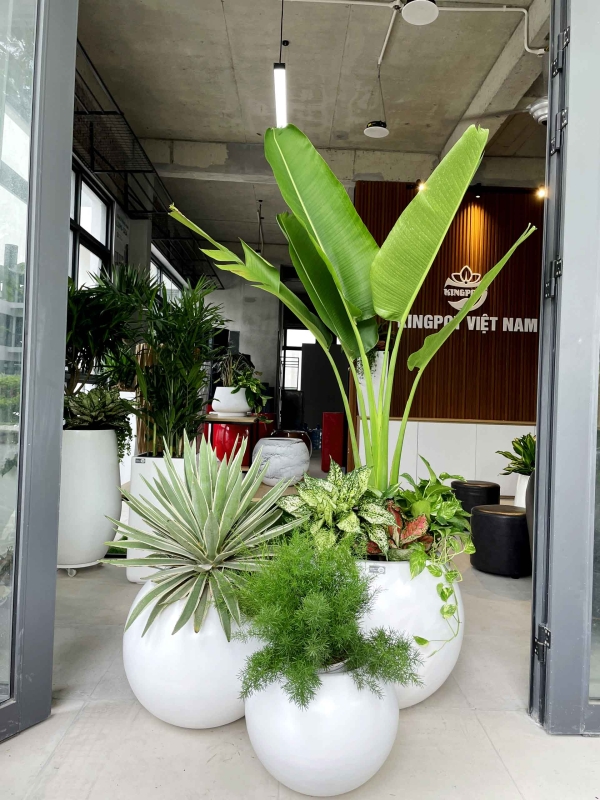 Bộ chậu cây tròn Composite 4328