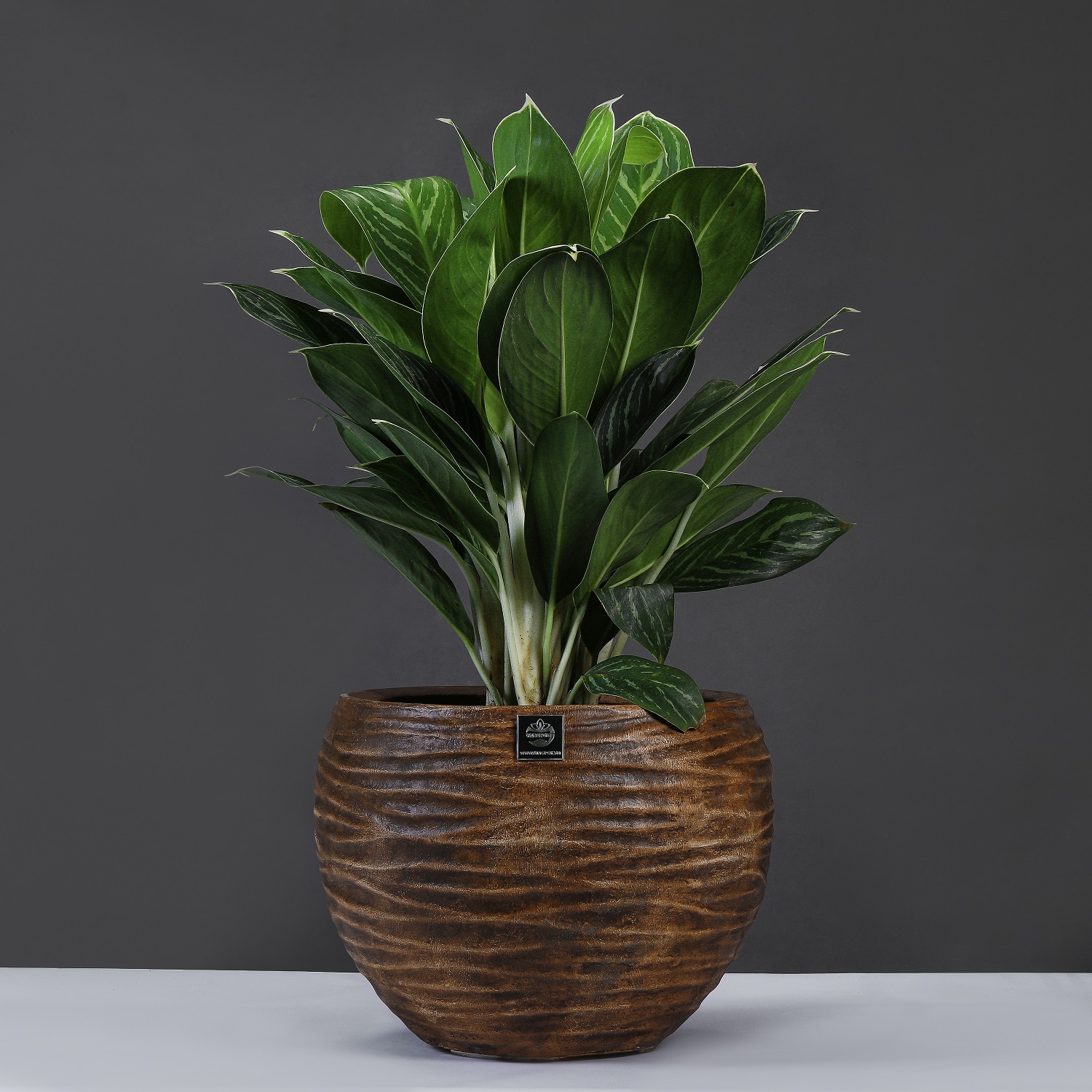 Chậu Composite An Khang KP-5950