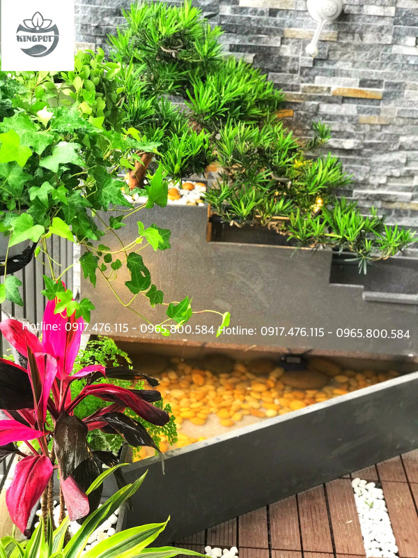 Chậu Composite tiểu cảnh nước