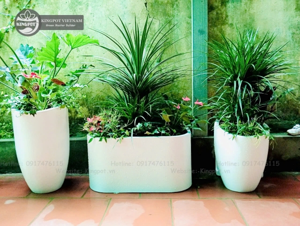 Chậu cây đa dạng thù hình - Công Ty Cổ Phần Kingpot Việt Nam