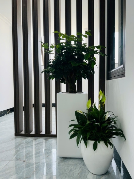 Chậu cây đa dạng thù hình - Công Ty Cổ Phần Kingpot Việt Nam