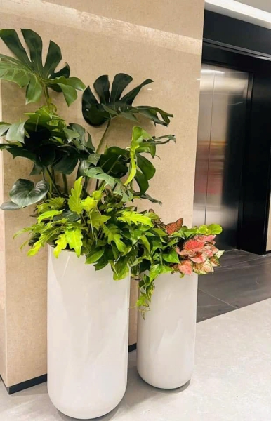 Chậu tròn thân cao - Công Ty Cổ Phần Kingpot Việt Nam