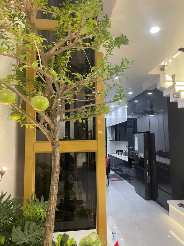 Thang máy tải khách