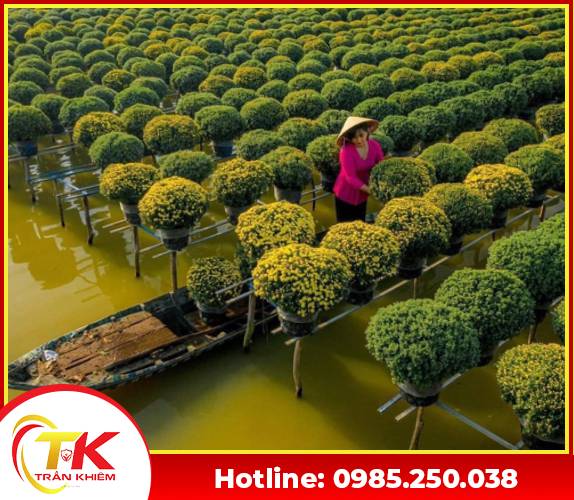 Tour Nam Kỳ Lục Tỉnh - Tour Du Lịch Trần Khiêm - Công Ty TNHH MTV Trần Khiêm