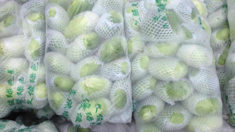 Bắp cải trắng
