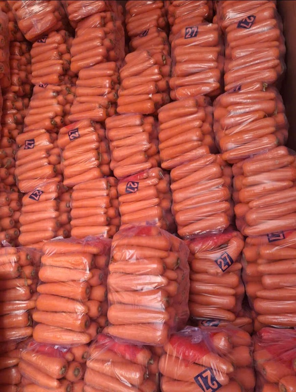 Cà rốt