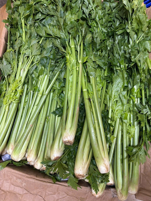 Cần tây