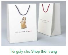 Túi giấy - Công Ty TNHH Delta Hoàng Long