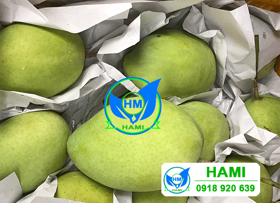 Giấy gói trái cây - Giấy Gói Hàng Hami - Công Ty TNHH Sản Xuất Thương Mại Dịch Vụ Giấy Hami