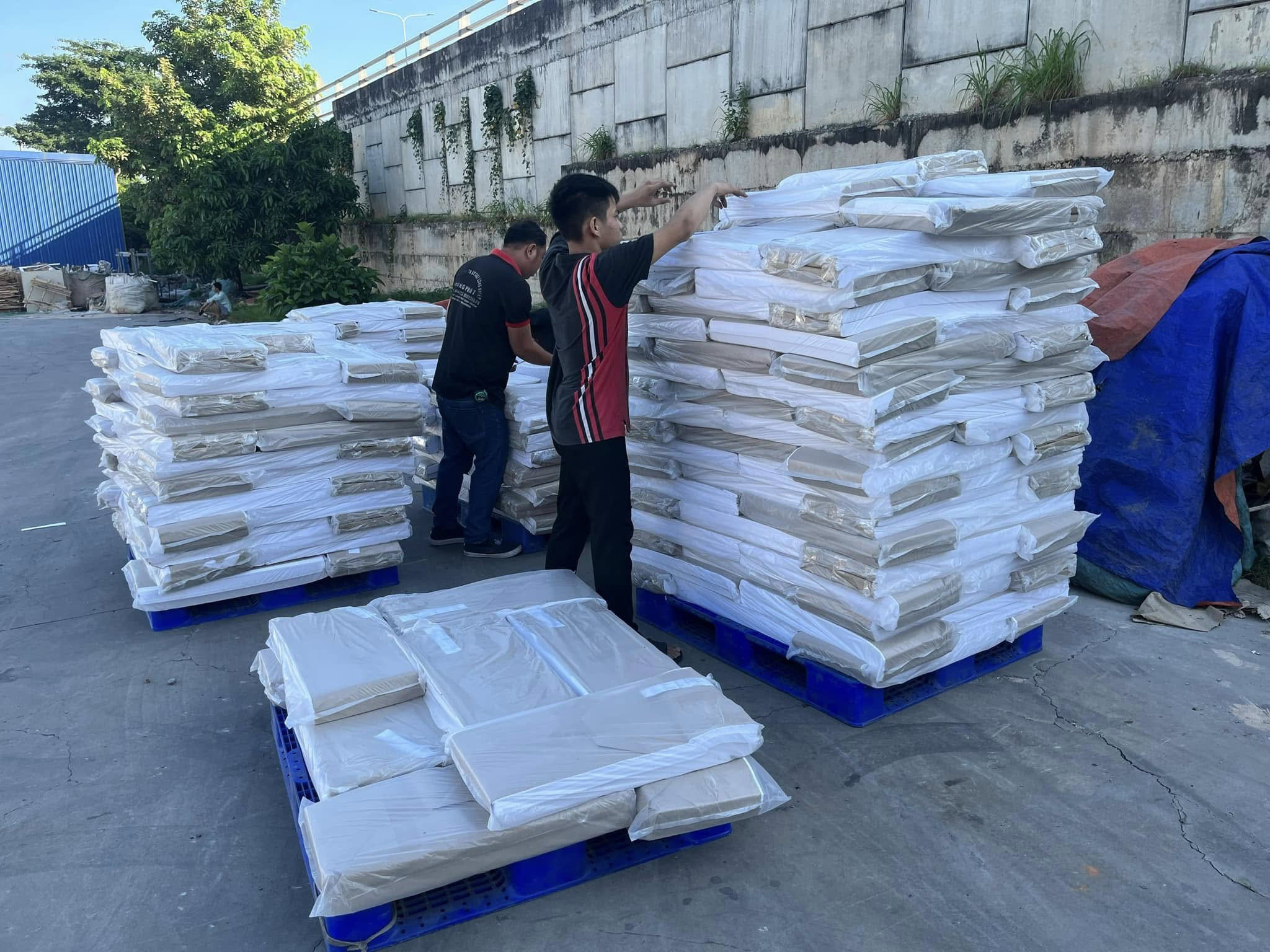 Hình ảnh công ty Giấy Gói Hàng Hami - Giấy Gói Hàng Hami - Công Ty TNHH Sản Xuất Thương Mại Dịch Vụ Giấy Hami