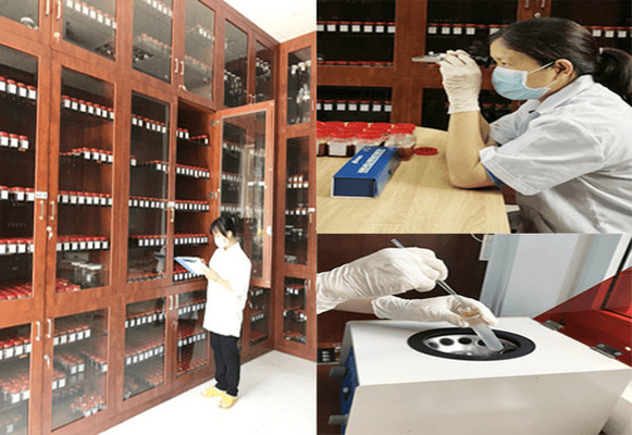 Phòng thí nghiệm và lưu mẫu