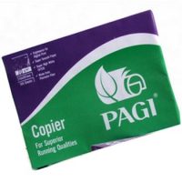 Giấy Pagi xanh - Văn Phòng Phẩm Thành Nam - Công Ty TNHH Văn Phòng Phẩm Thành Nam