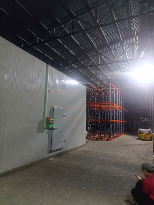 Thiết kế thi công lắp đặt hệ thống giết mổ gia súc