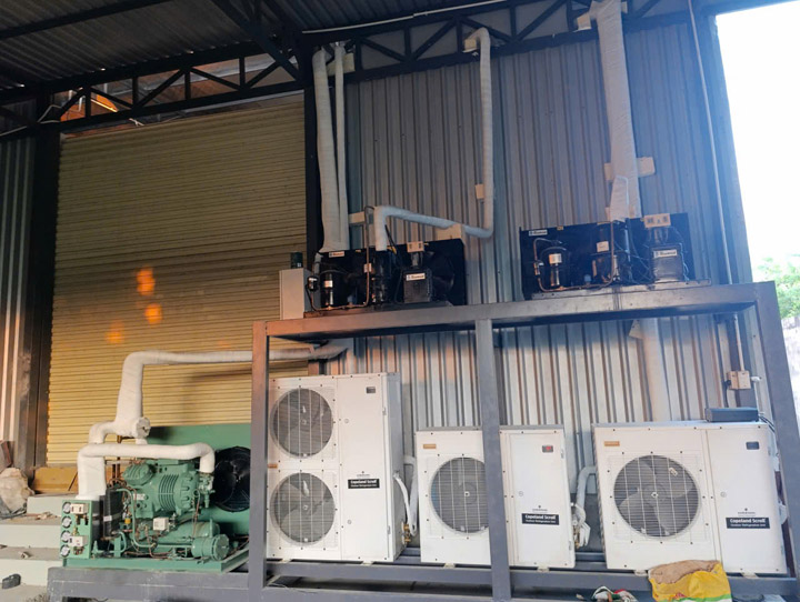 Thiết kế thi công lắp đặt hệ thống giết mổ gia súc