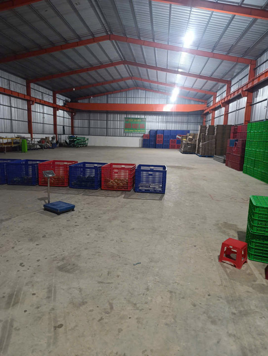 Thiết kế thi công lắp đặt hệ thống giết mổ gia súc
