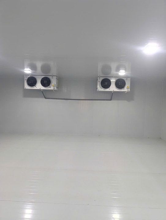 Thiết kế thi công lắp đặt hệ thống giết mổ gia súc