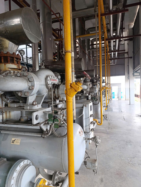 Thiết kế thi công lắp đặt hệ thống giết mổ gia súc